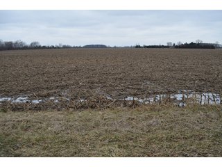 Property photo 8 - 175 Acres Offered in 5 Tracts - Tontogany, Ohio Farm Land Auction